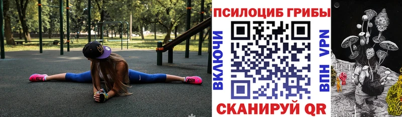 Галлюциногенные грибы Psilocybine cubensis  Козловка 