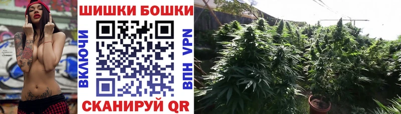 Конопля план Козловка